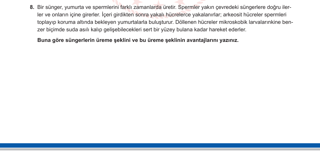 Biyoloji sorusu 8 — Eşeyli Üreme / Çapraz Döllenme / Sünger Biyolojisi