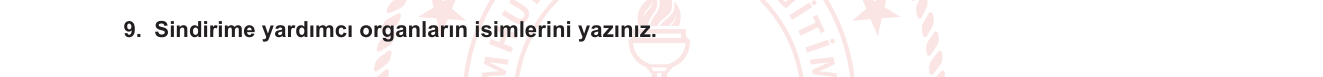 Biyoloji sorusu 9 — Sindirim Sistemi — Sindirime Yardımcı Organlar