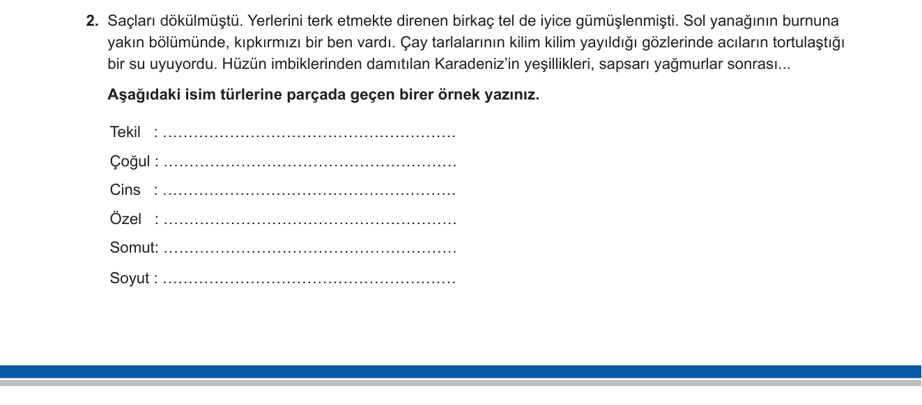 Türk Dili ve Edebiyatı sorusu 2 — İsim (ad) türleri: tekil-çoğul, cins-özel, somut-soyut