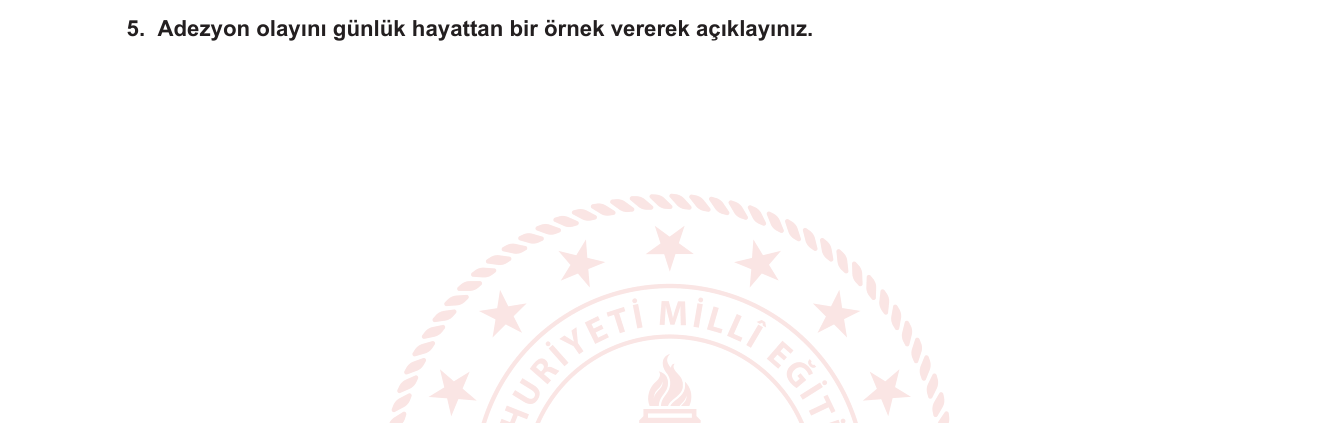 Fizik sorusu 4 — Moleküller Arası Kuvvetler — Adezyon ve Kohezyon (9. Sınıf Fizik)