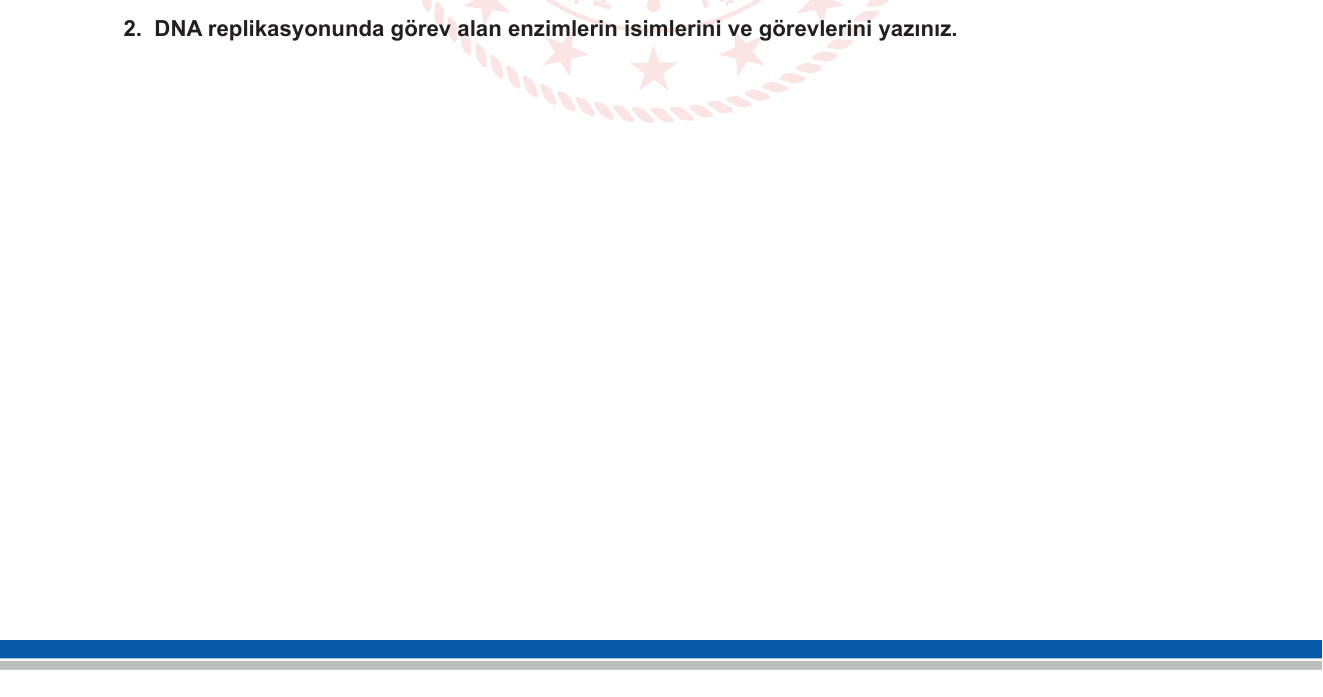 Biyoloji sorusu 12 — DNA replikasyonu — enzimler (helikaz, DNA polimeraz, DNA ligaz)
