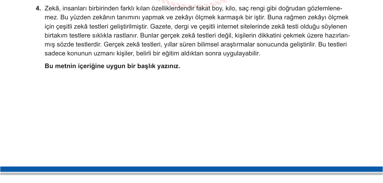 Türkçe sorusu 28 — 