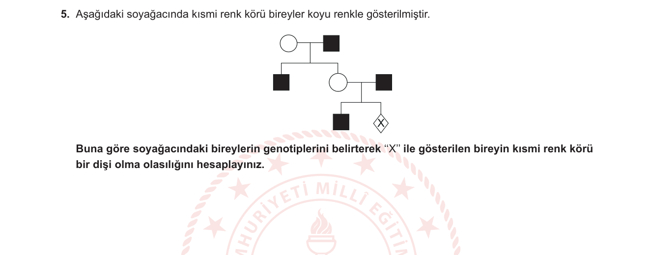 Biyoloji sorusu 31 — 