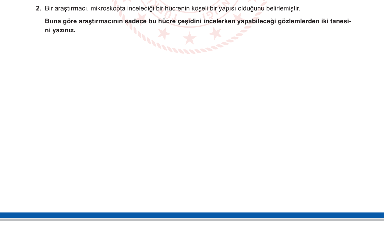 Fen Bilimleri sorusu 11 — Hücre / Bitki ve Hayvan Hücresi Karşılaştırması