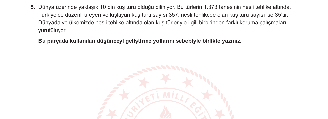 Türkçe sorusu 18 — 