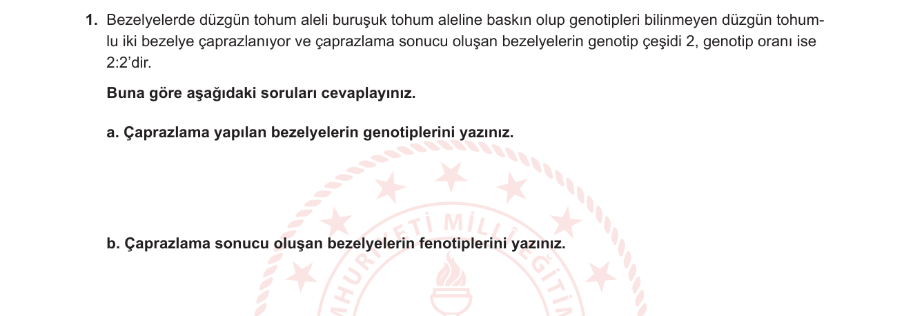 Biyoloji sorusu 1 — Mendel genetiği — monohibrit çapraz, genotip-fenotip ilişkisi
