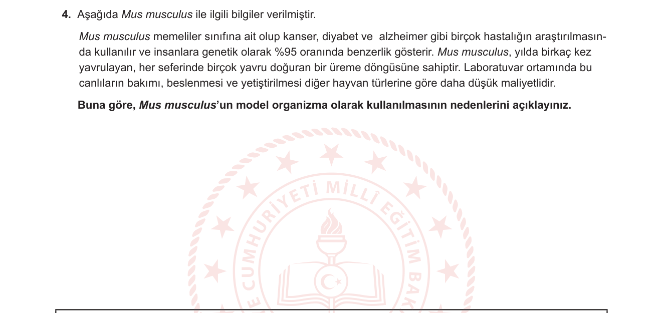 Biyoloji sorusu 5 — Model Organizma — Mus musculus / Biyoteknoloji Araştırma Yöntemleri