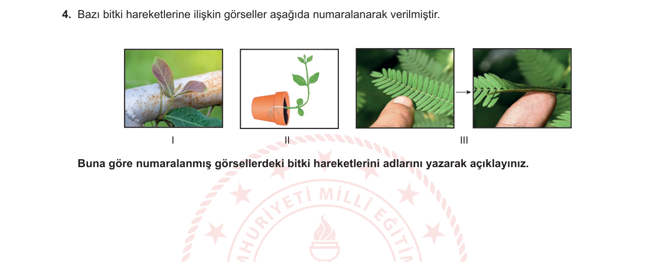 Biyoloji sorusu 53 — 