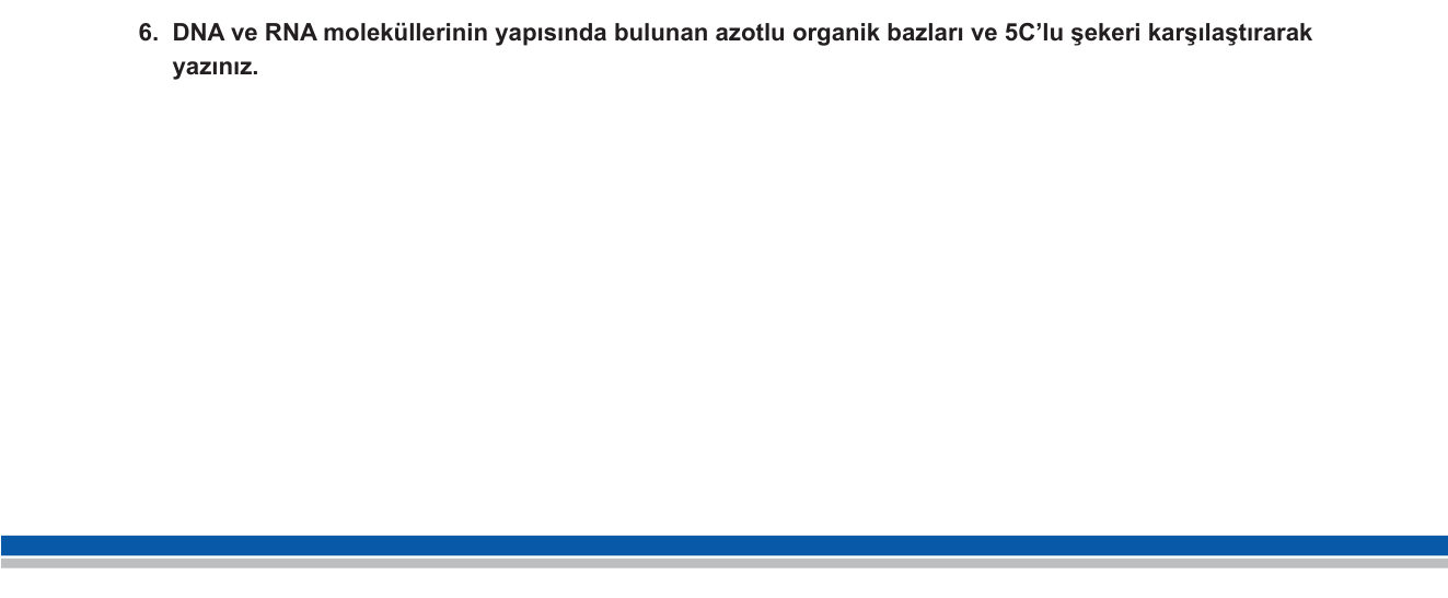 Biyoloji sorusu 6 — DNA ve RNA yapısı — bazlar ve şekerler karşılaştırması