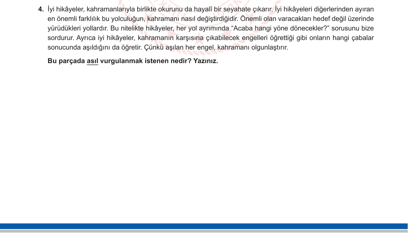 Türkçe sorusu 17 — 