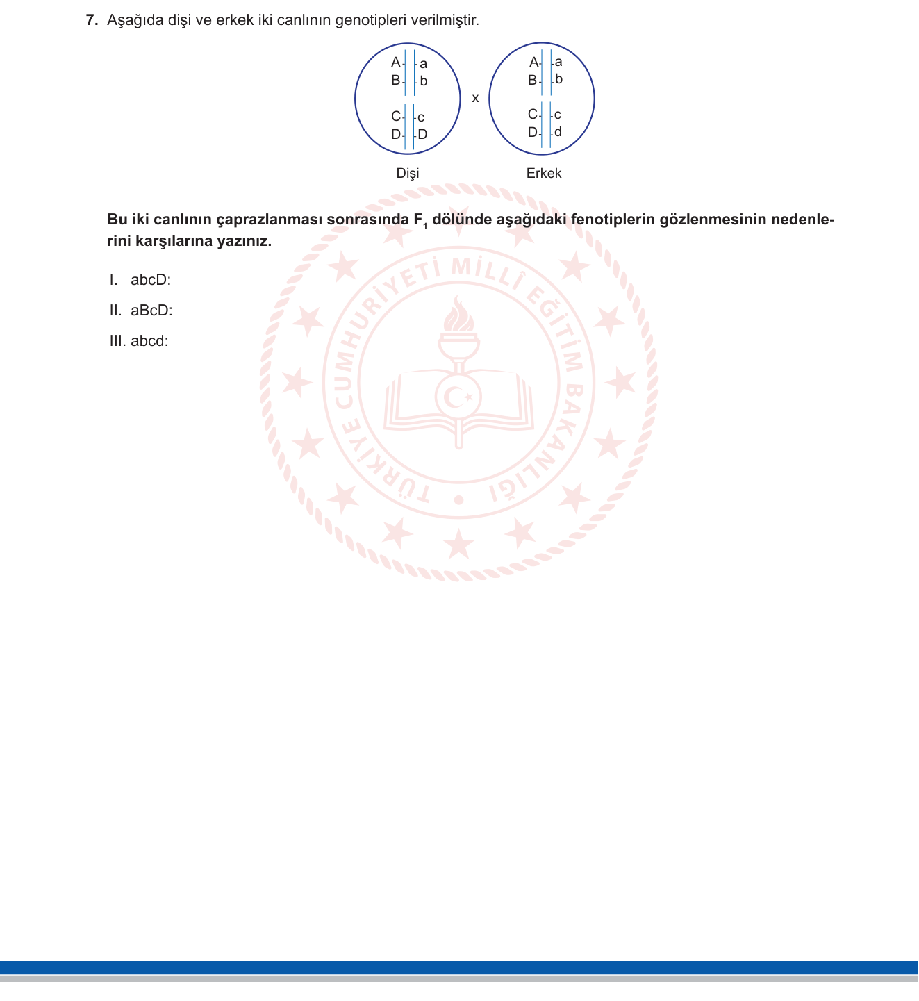 Biyoloji sorusu 33 — 