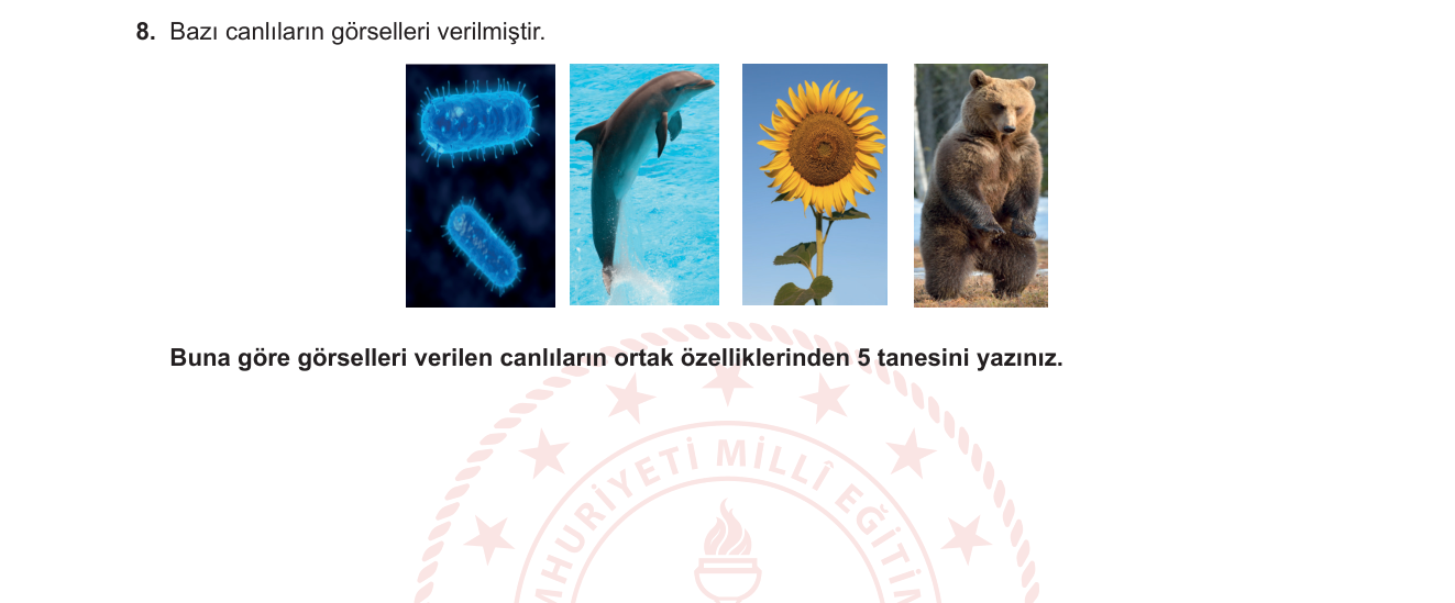 Biyoloji sorusu 8 — Canlıların temel özellikleri — hücre, metabolizma, üreme, büyüme, uyarılabilirlik