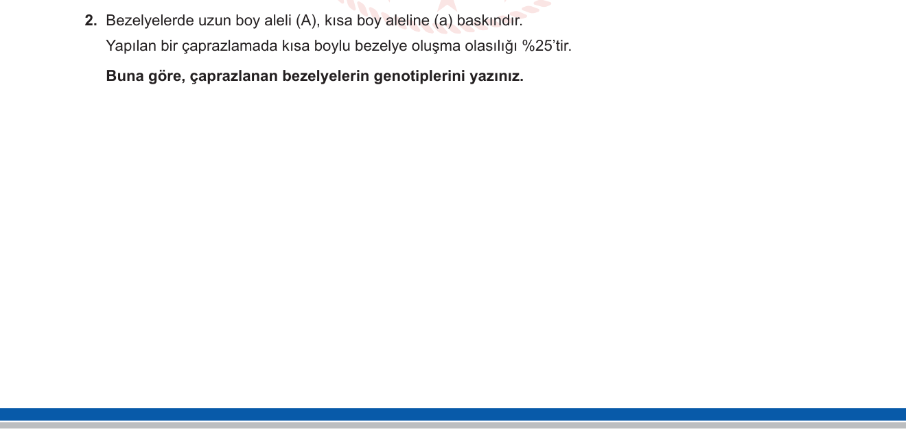 Fen Bilimleri sorusu 9 — Kalıtım — Mendel Kalıtım Yasaları, Punnett Karesi, Dominant-Resesif Alel (8. Sınıf)