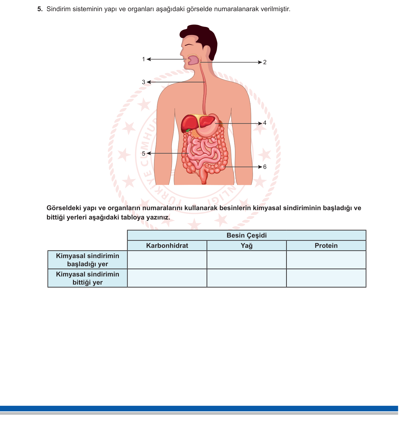 Fen Bilimleri sorusu 6 — Sindirim Sistemi ve Besinlerin Kimyasal Sindirimi