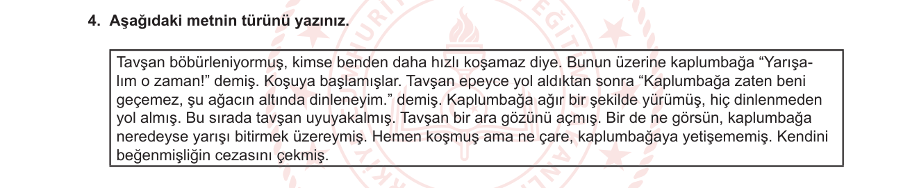 Türkçe sorusu 10 — 
