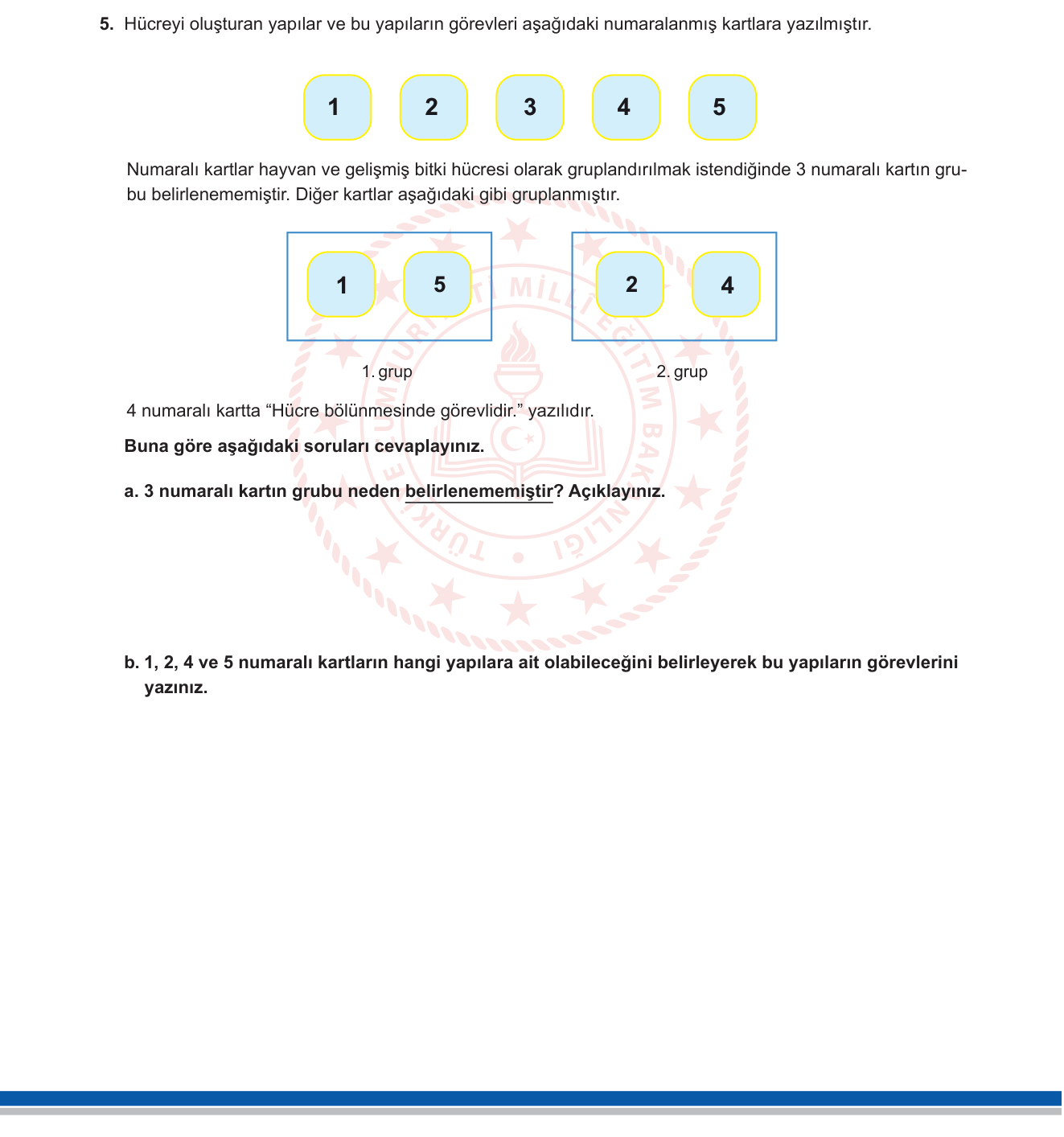 Fen Bilimleri sorusu 5 — Hücre — Organeller, Hayvan ve Bitki Hücresi Farkları, Hücre Bölünmesi (7. sınıf)