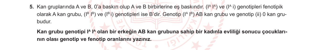 Biyoloji sorusu 20 — ABO kan grubu kalıtımı — çoklu alel sistemi