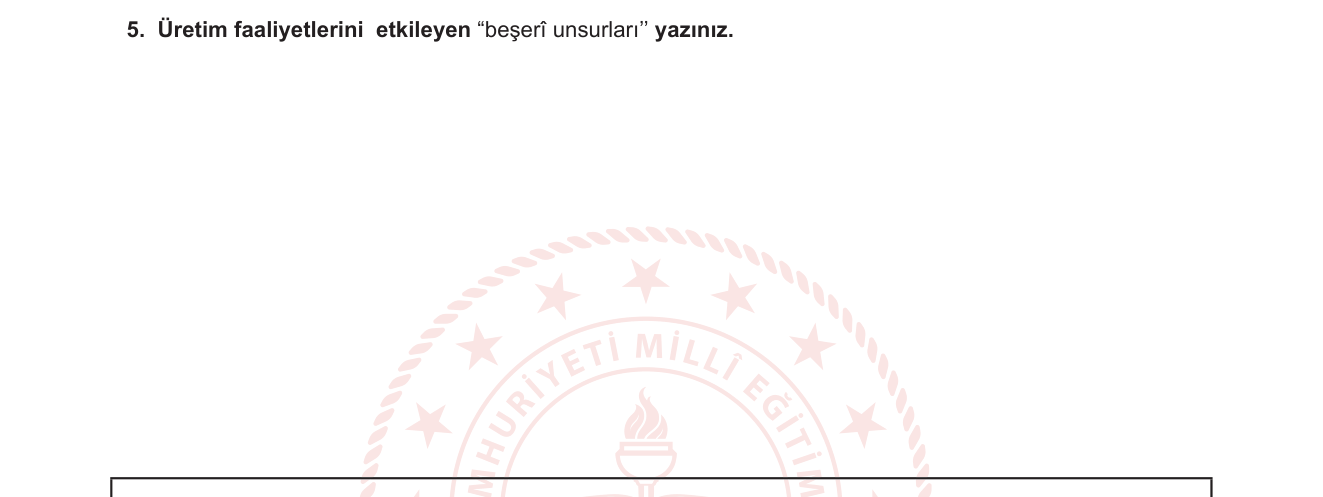 Coğrafya sorusu 12 — Üretim faaliyetleri — beşerî (insan kaynaklı) etkenler