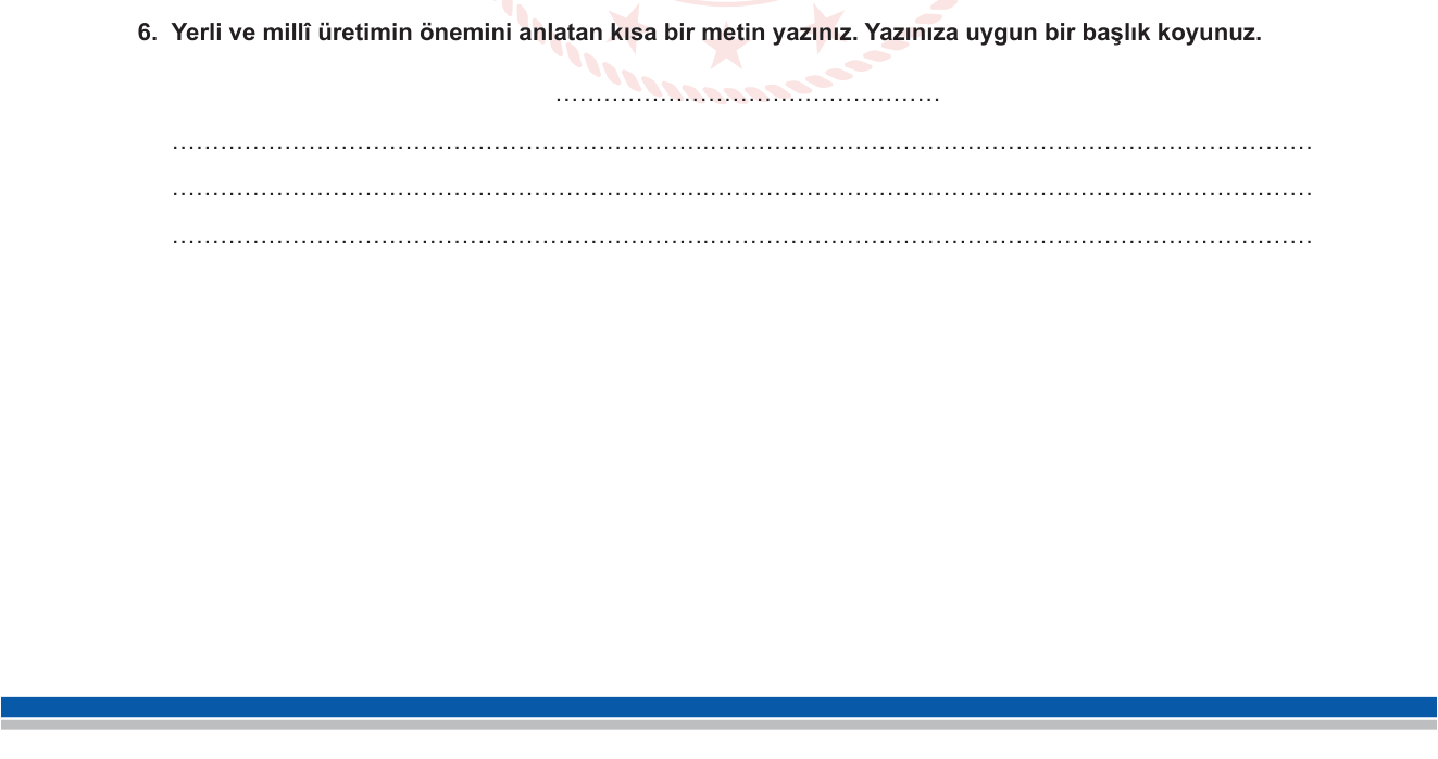 Türkçe sorusu 11 — 