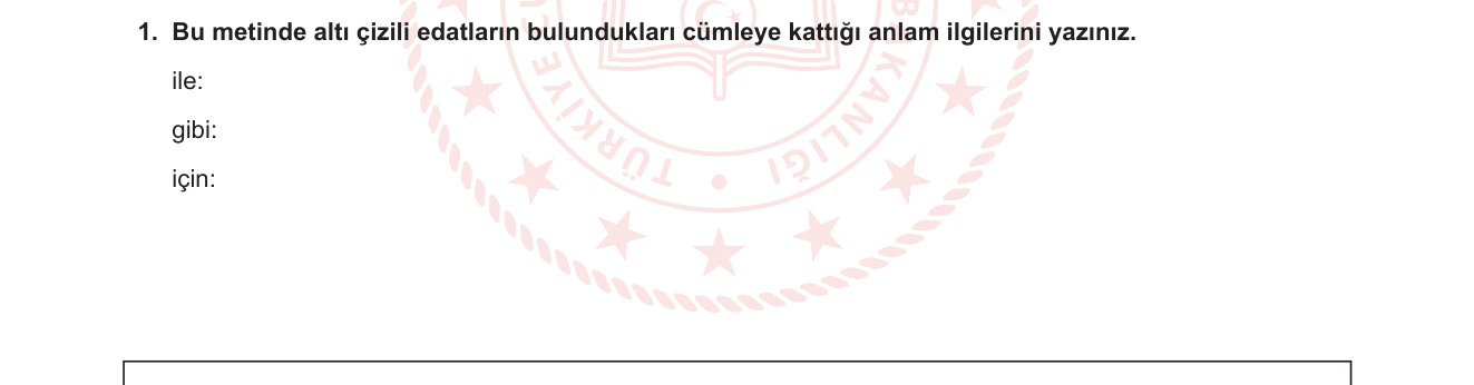 Türkçe sorusu 12 — 