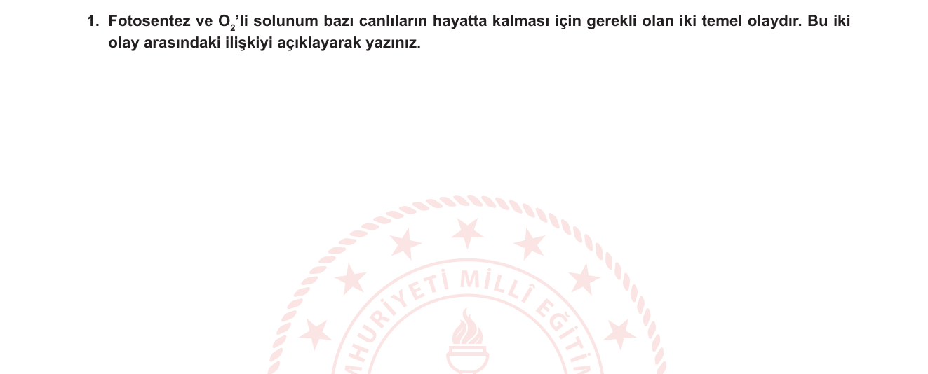 Biyoloji sorusu 8 — 