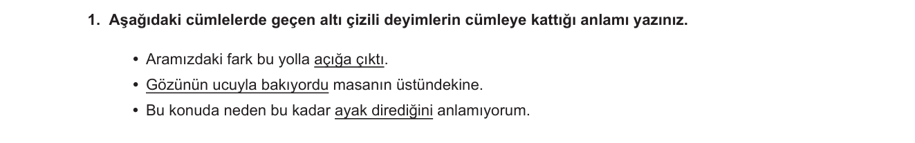 Türkçe sorusu 25 — 
