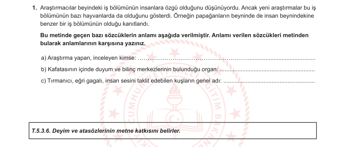 Türkçe sorusu 1 — Sözcük anlambilgisi — anlam eşleştirme (T.5.3.6)