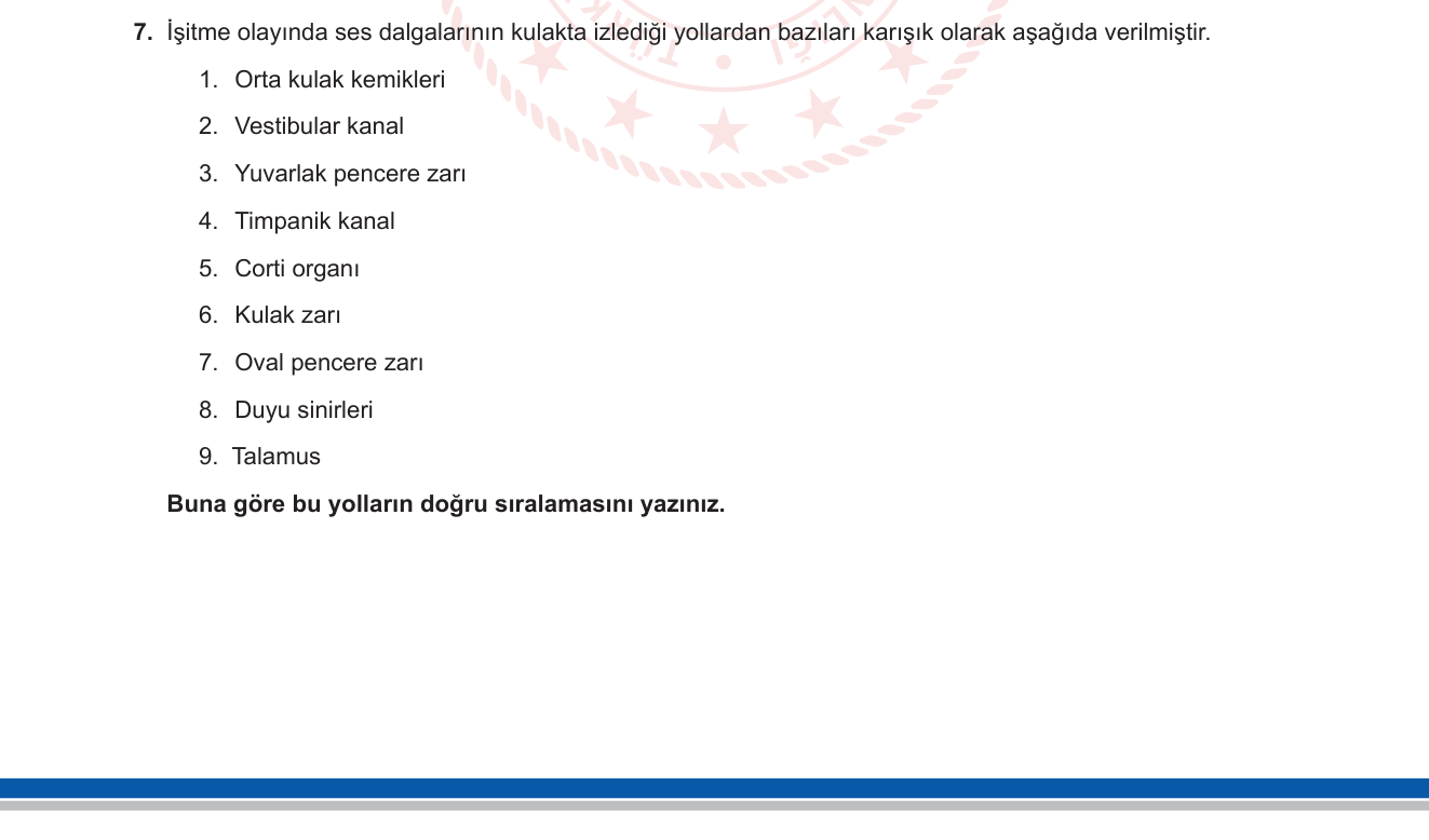 Biyoloji sorusu 8 — Duyu organları — İşitme fizyolojisi; iç kulak yapıları; ses iletim yolu