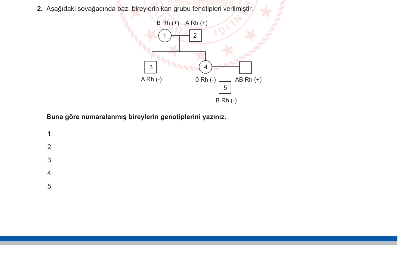 Biyoloji sorusu 20 — 