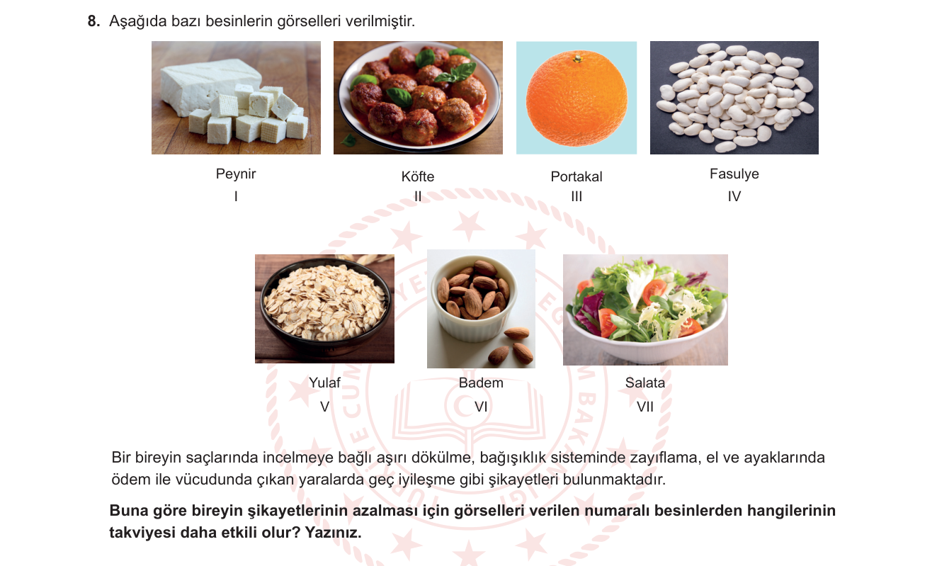 Biyoloji sorusu 18 — Vitaminler ve mineraller — C vitamini, çinko, protein; eksiklik belirtileri ve besin kaynakları