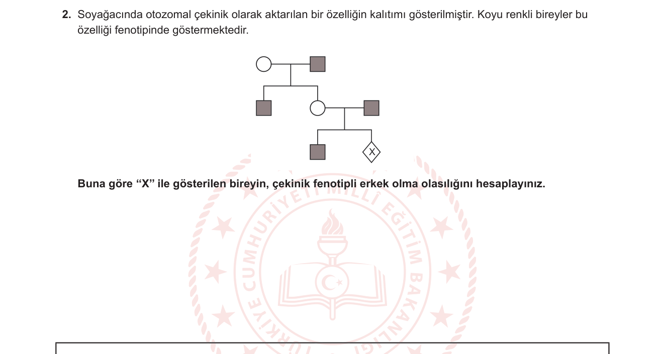 Biyoloji sorusu 2 — Soyağacı analizi, otozomal çekinik kalıtım, olasılık (10. Sınıf Biyoloji)