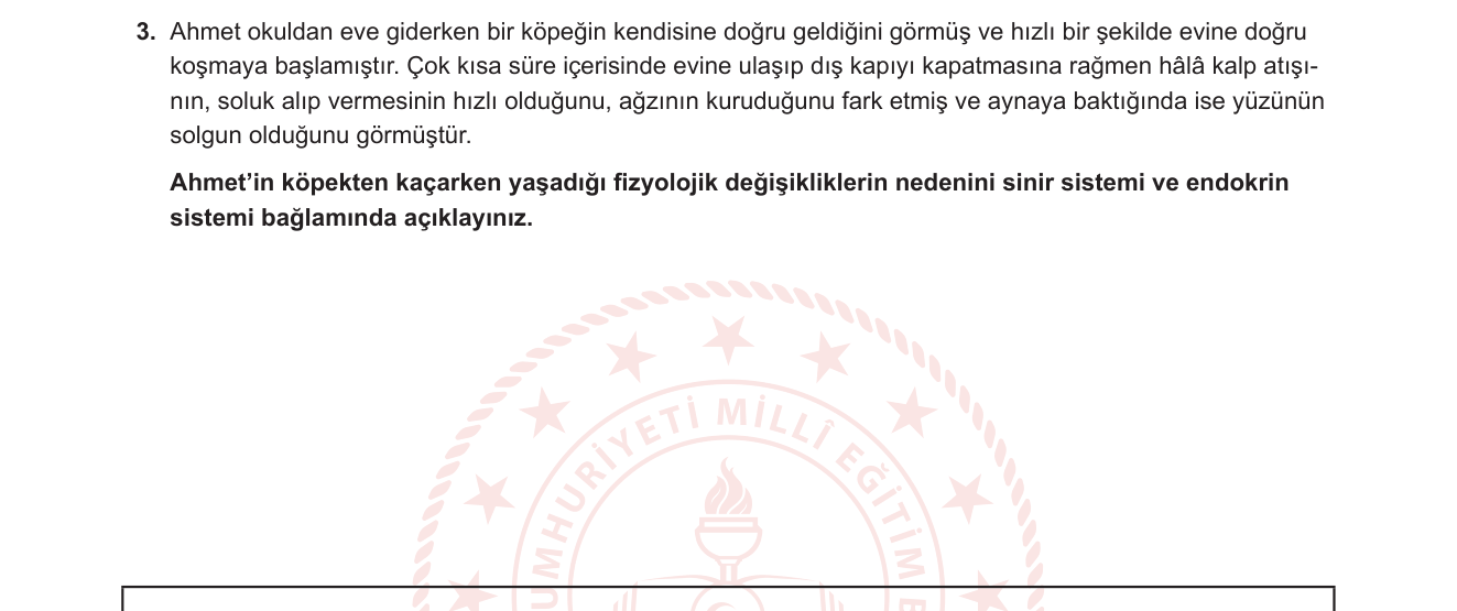 Biyoloji sorusu 3 — Sinir Sistemi ve Endokrin Sistem — Savaş-Kaç Tepkisi / Adrenalin / Sempatik Sistem