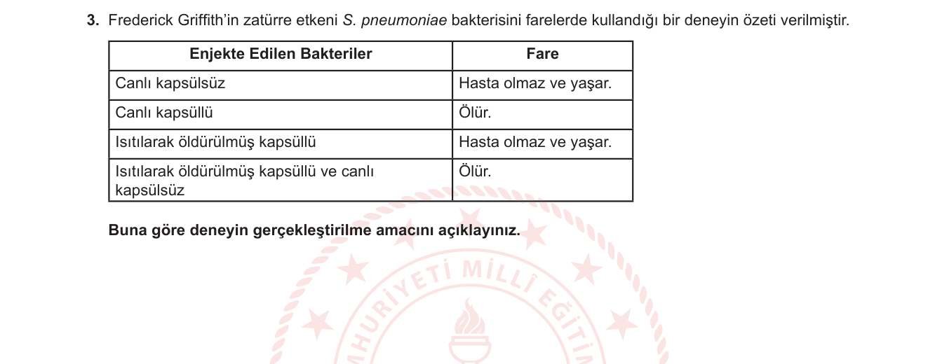 Biyoloji sorusu 7 — Genetik bilimi tarihi — Griffith transformasyon deneyi
