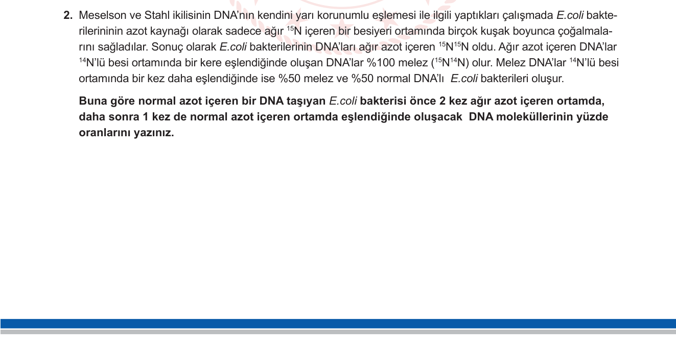 Biyoloji sorusu 2 — DNA replikasyonu — Meselson-Stahl deneyi, yarı-korunumlu eşlenme