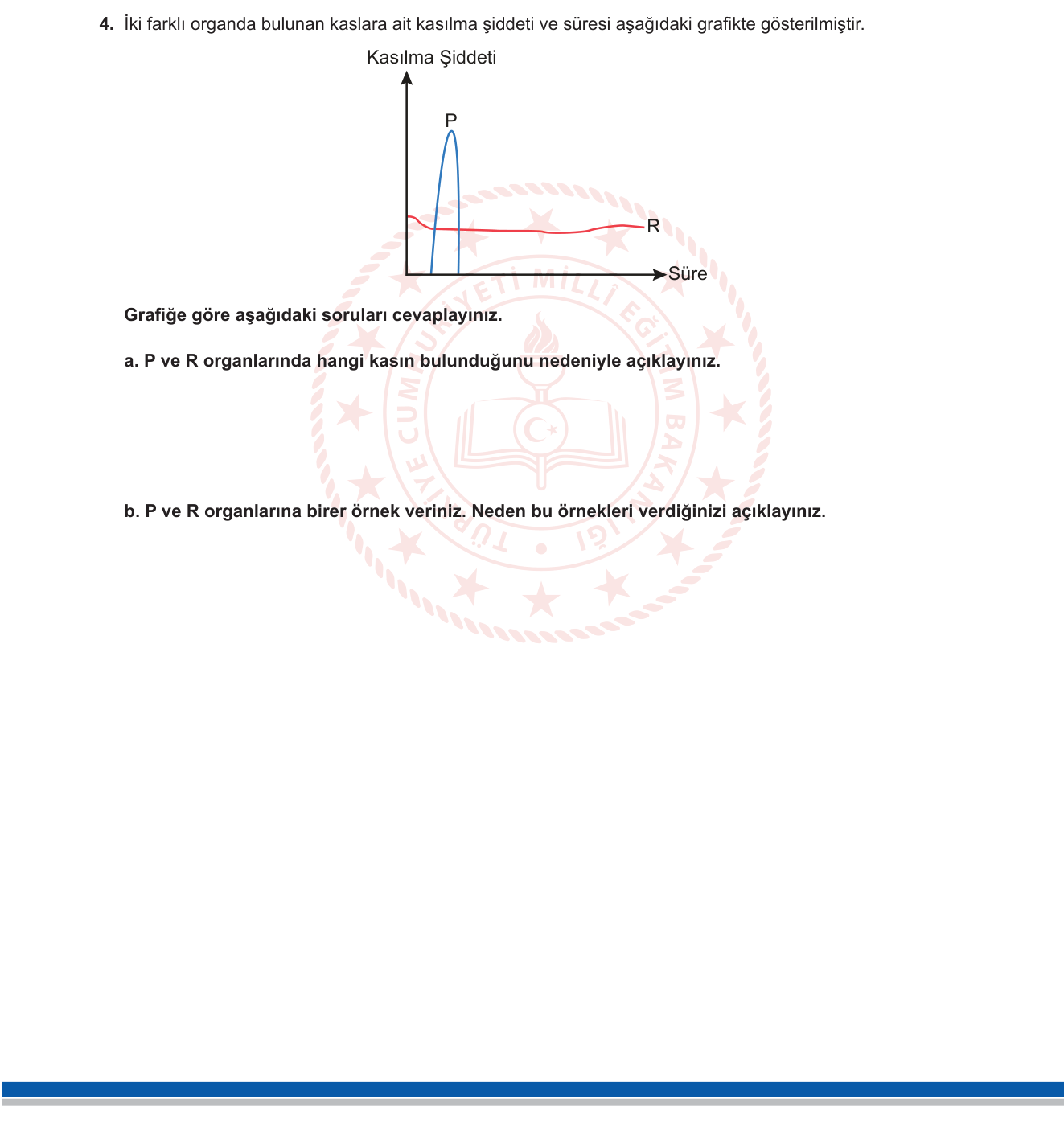 Fen Bilimleri sorusu 4 — Vücudumuzu Tanıyalım — Kaslar ve Kas Tipleri (Çizgili Kas, Düz Kas, Kalp Kası)