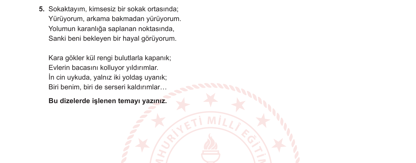 Türk Dili ve Edebiyatı sorusu 15 — Şiirde tema — yalnızlık ve umutsuzluk — Cumhuriyet Dönemi bireysel lirik şiiri