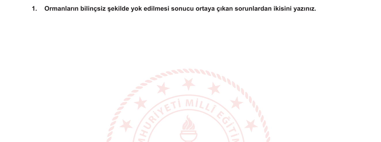 Sosyal Bilgiler sorusu 17 — 