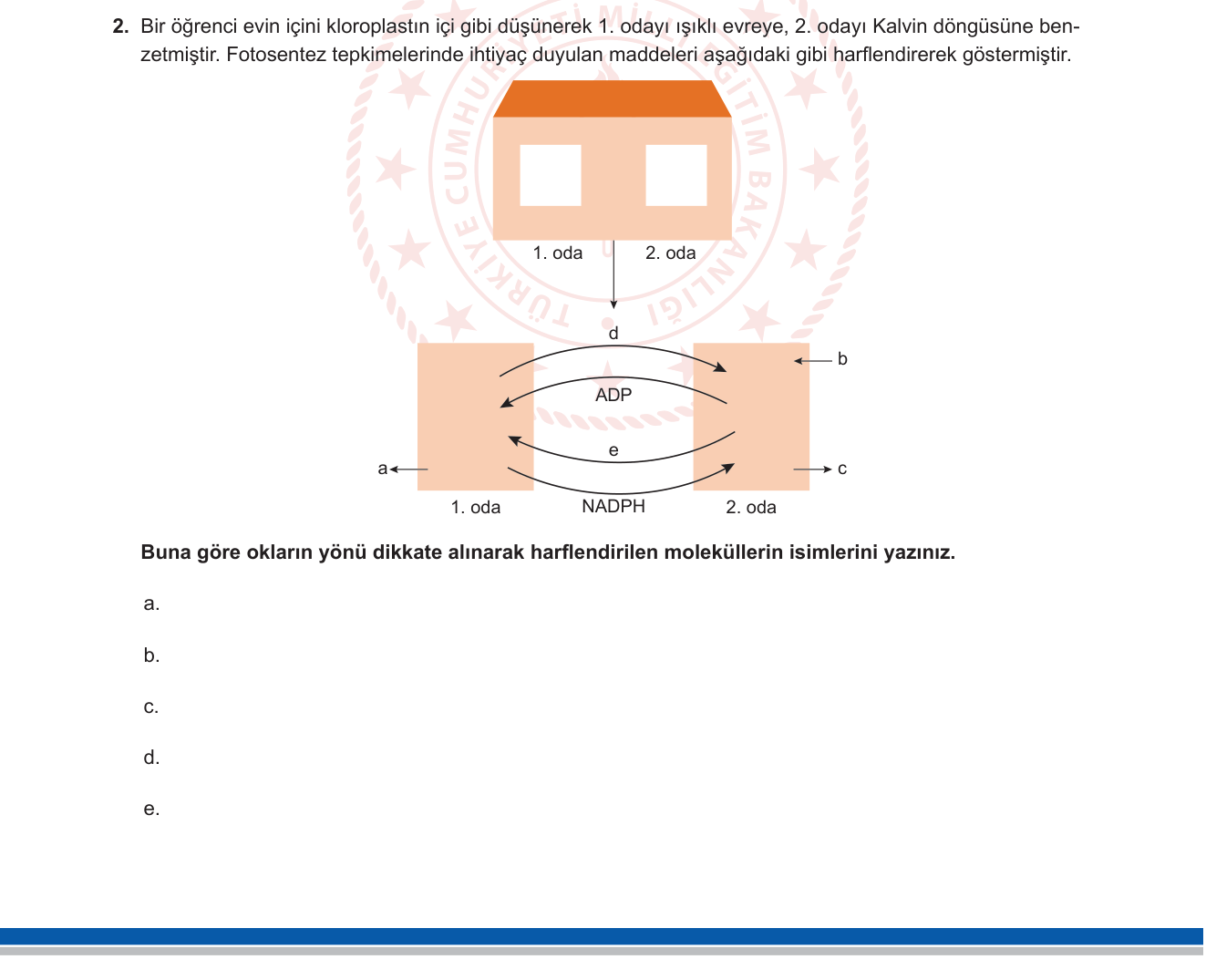 Biyoloji sorusu 2 — 
