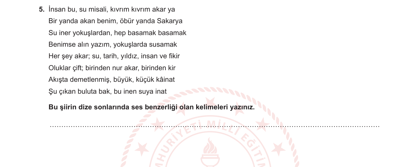 Türkçe sorusu 10 — 