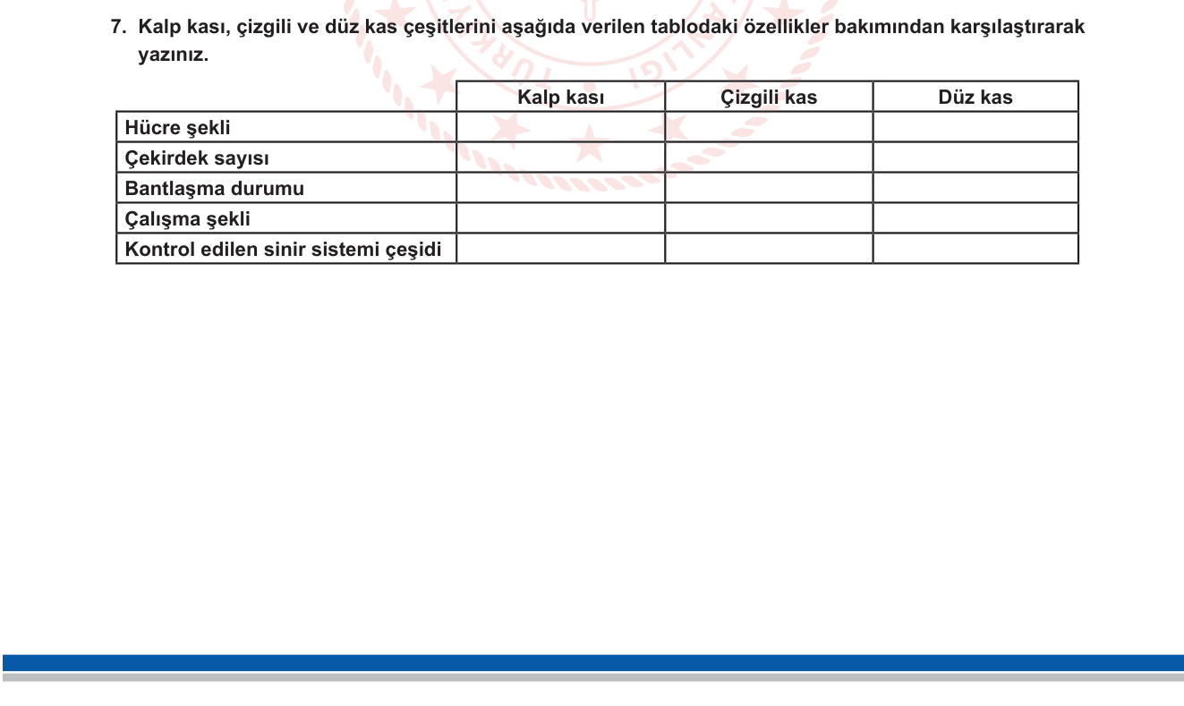 Biyoloji sorusu 7 — Kas Dokusu — 3 Kas Türünün Karşılaştırılması