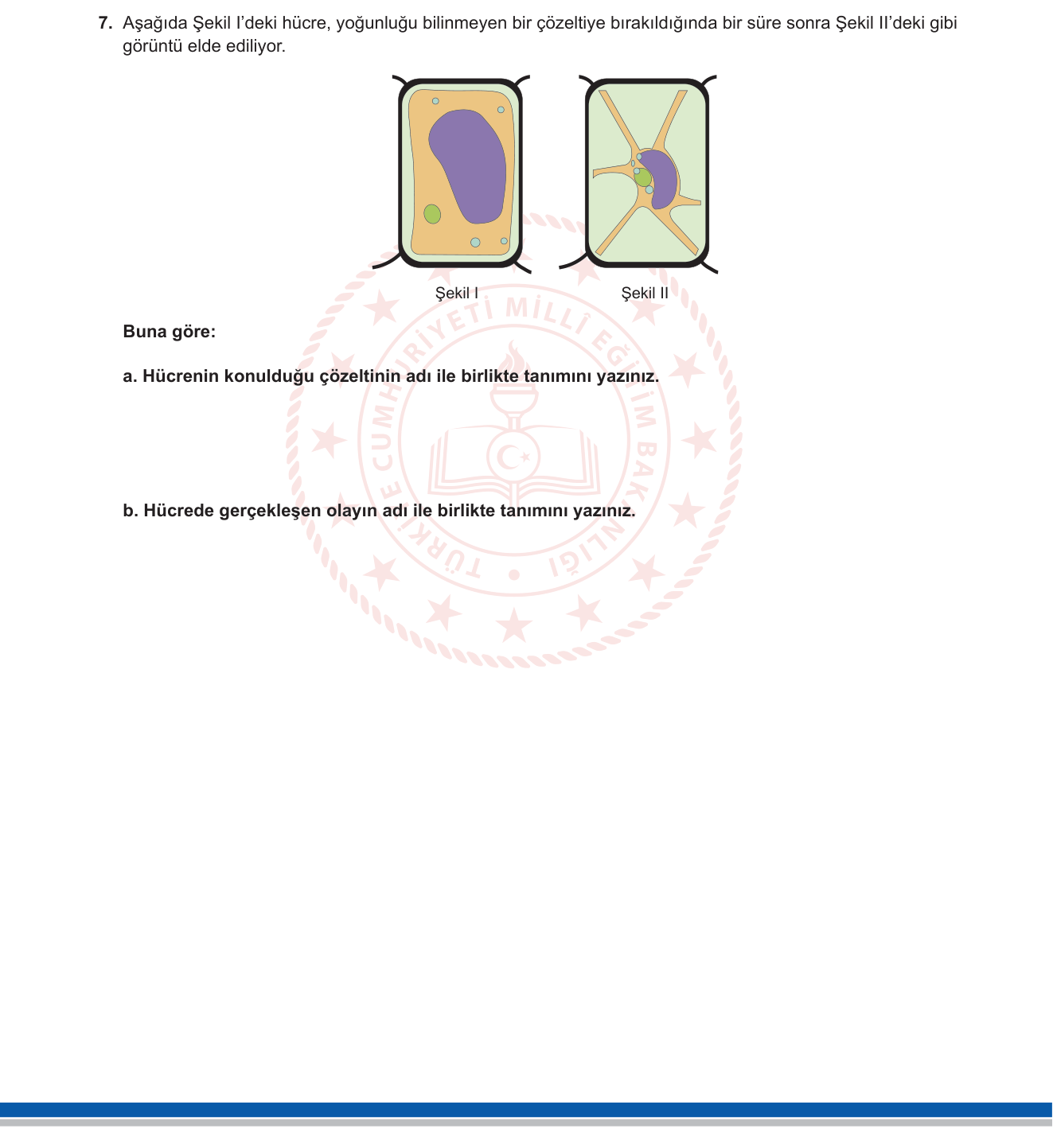 Biyoloji sorusu 7 — 