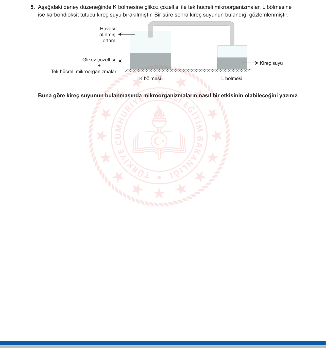 Biyoloji sorusu 34 — 