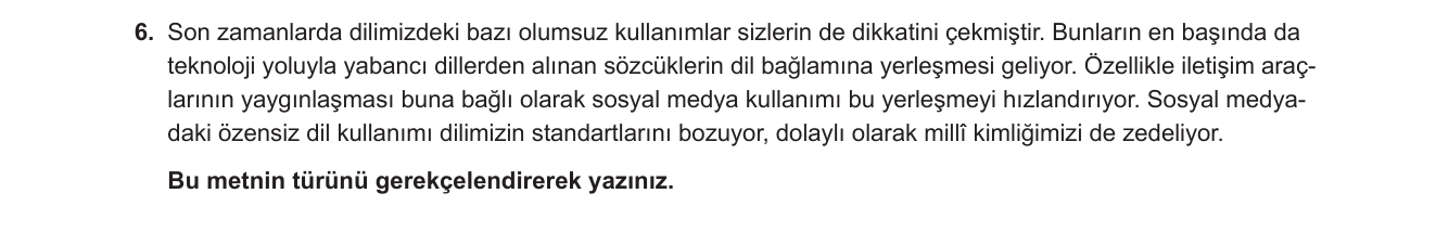 Türkçe sorusu 43 — 