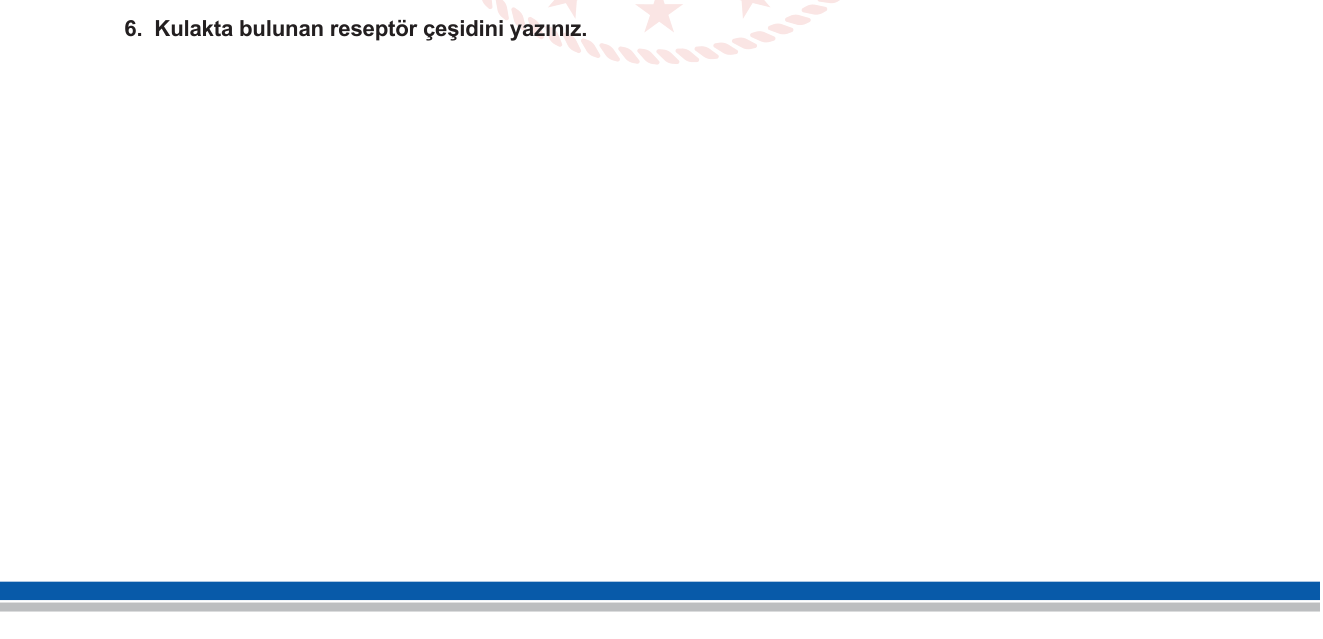 Biyoloji sorusu 24 — Duyu Organları — Reseptör Çeşitleri / Kulak