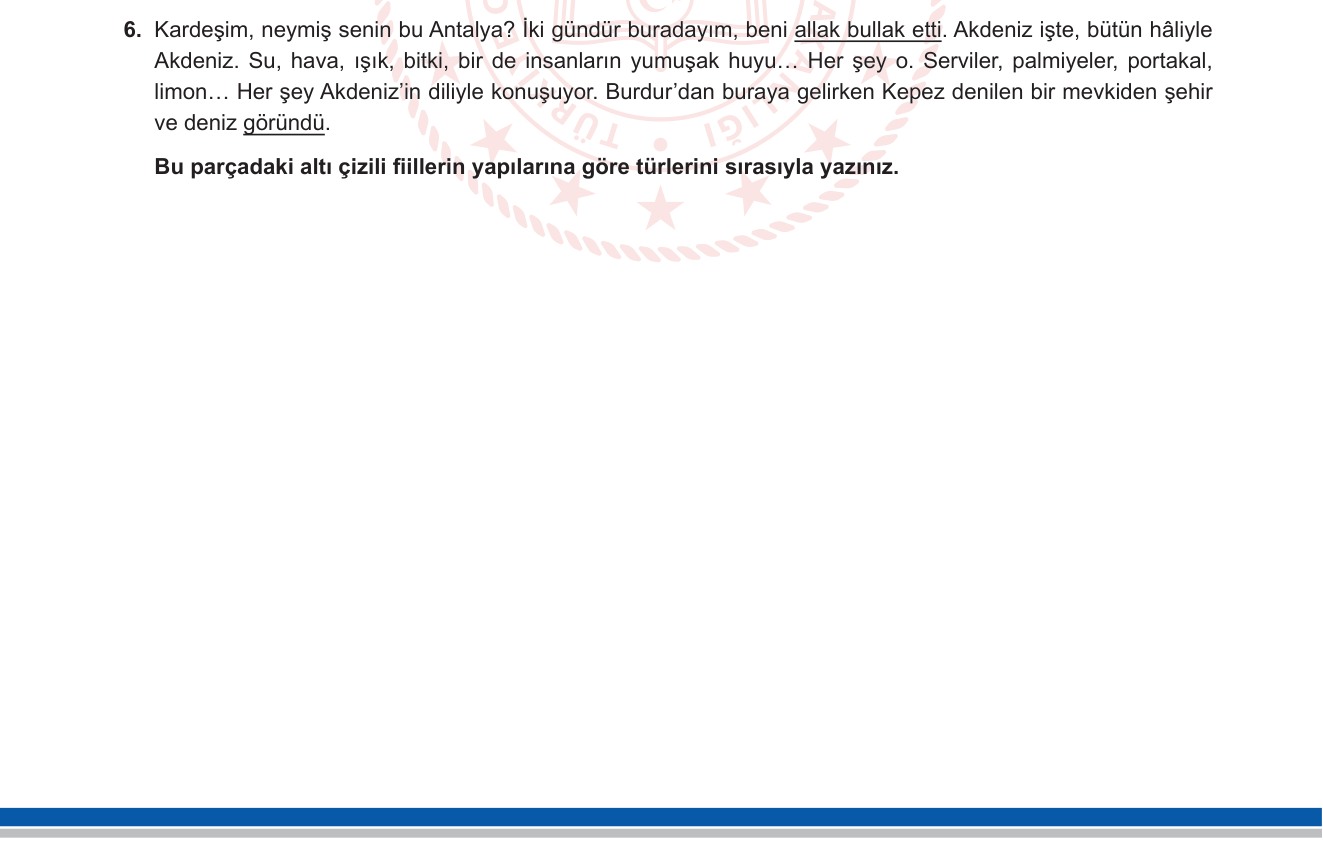 Türk Dili ve Edebiyatı sorusu 11 — 