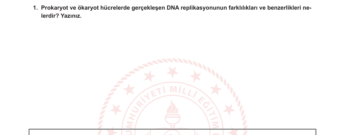 Biyoloji sorusu 1 — DNA Replikasyonu — Prokaryot vs Ökaryot Karşılaştırması