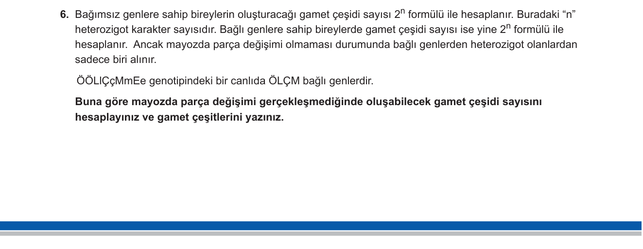 Biyoloji sorusu 7 — Bağlı genler ve gamet çeşidi hesaplama (Kalıtım - 10. Sınıf Biyoloji)