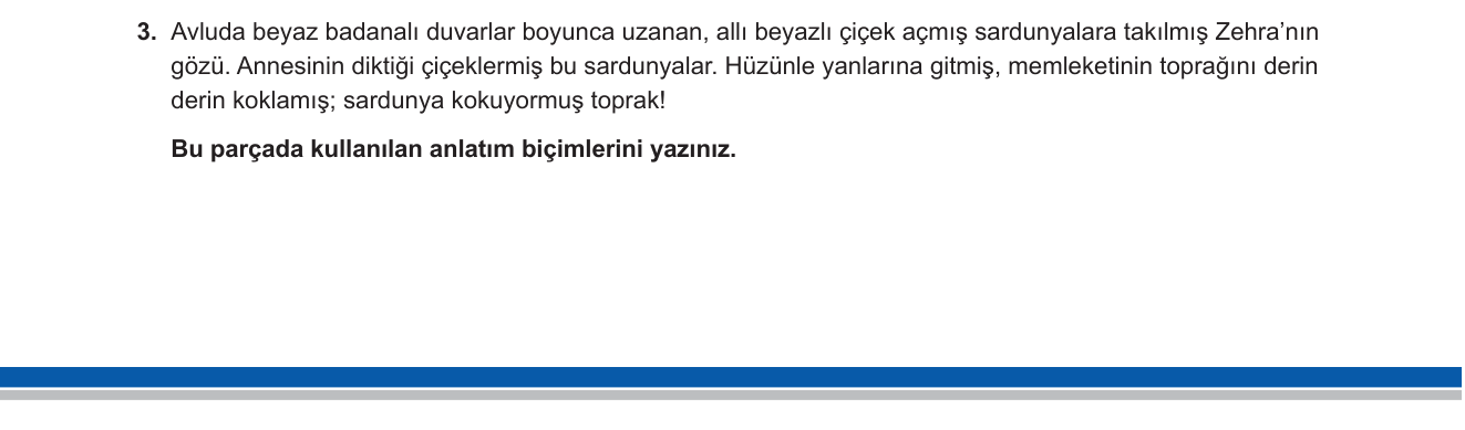 Türkçe sorusu 18 — 