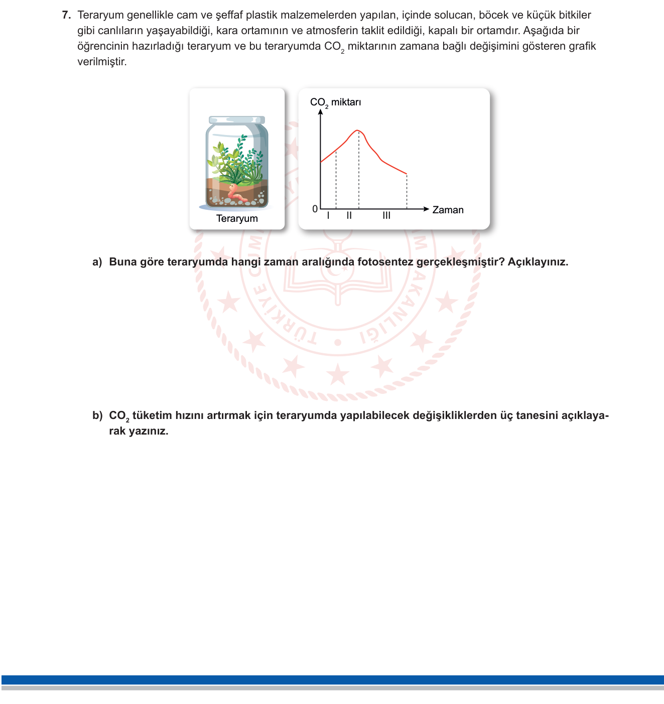 Fen Bilimleri sorusu 6 — 