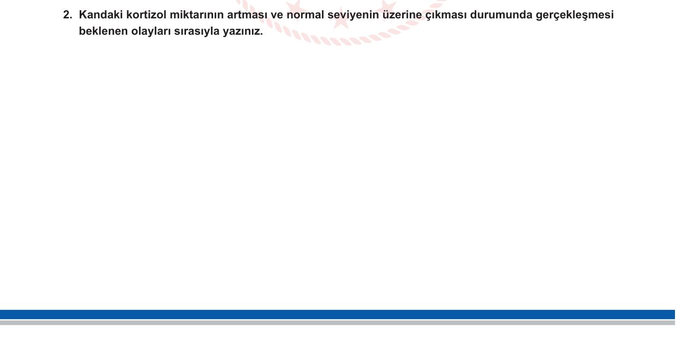 Biyoloji sorusu 20 — Endokrin Sistem — Kortizol ve Negatif Geri Bildirim (Hipotalamus-Hipofiz-Adrenal Eksen)
